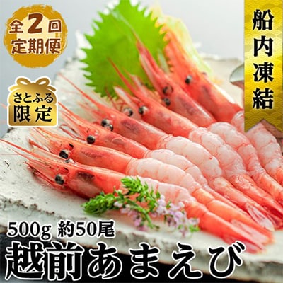 【発送月固定定期便】 【さとふる限定】ねっとり甘い 子無し 日本海甘えび 500g(約50尾)全2回
