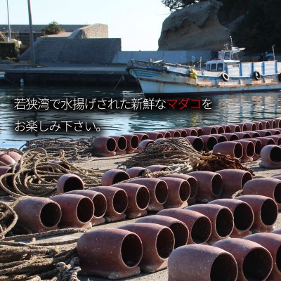 【毎月定期便】茹で まだこ 小分け700g 真空パック入全3回