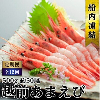 【毎月定期便】ねっとり甘い 子無し 日本海甘えび 500g(約50尾)全12回