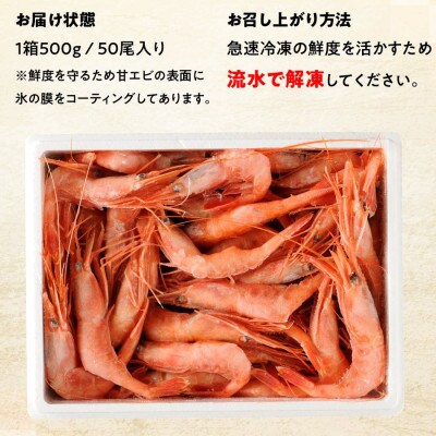 【毎月定期便】ねっとり甘い 子無し 日本海甘えび 500g(約50尾)全12回
