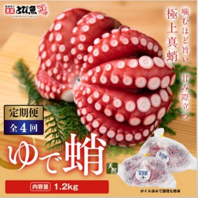 【3ヵ月毎定期便】茹でまだこ 福井県産 1.2Kg (2～3杯)全4回