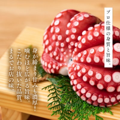 【3ヵ月毎定期便】茹でまだこ 福井県産 1.2Kg (2～3杯)全4回