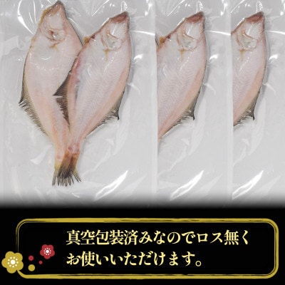 【毎月定期便】かれい一夜干し 1Kg(5～8尾)全2回