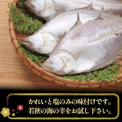 【毎月定期便】かれい一夜干し 1Kg(5～8尾)全2回