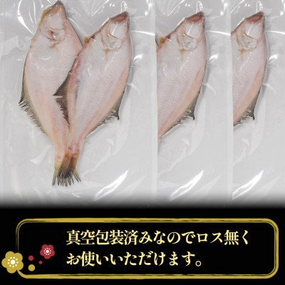 【2ヵ月毎定期便】かれい一夜干し 1Kg(5～8尾)全6回