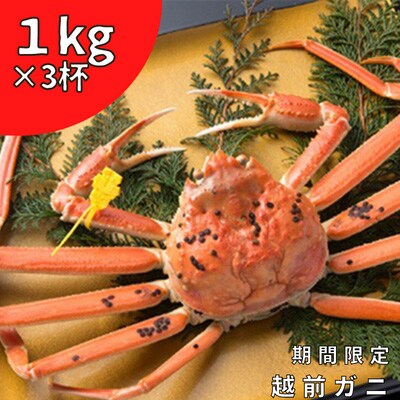 【2023年2月中旬発送】茹で越前ガニ　1kg以上×3杯