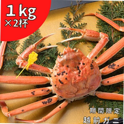 【2023年2月上旬発送】茹で越前ガニ　1kg以上×2杯