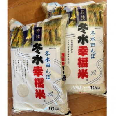 【令和6年産】特別栽培コシヒカリ　冬水幸福米【精米】　20kg