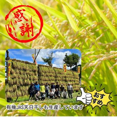【令和6年産】特別栽培コシヒカリ　冬水幸福米【精米】　20kg