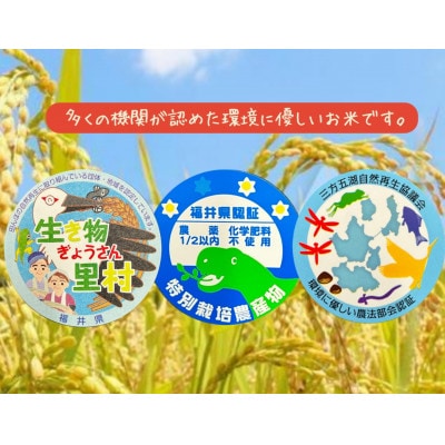 【令和6年産】特別栽培コシヒカリ　冬水幸福米【精米】　20kg