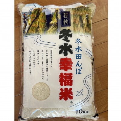 令和7年産　特別栽培コシヒカリ　冬水幸福米　精米10kg