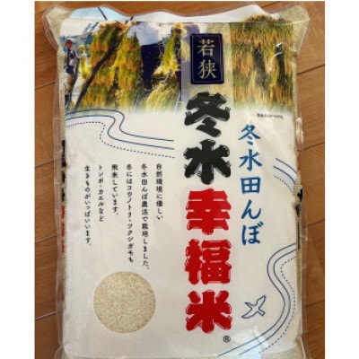 令和6年産　特別栽培コシヒカリ　冬水幸福米　精米10kg