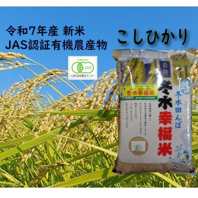 令和7年産　有機JAS天日干しコシヒカリ　冬水幸福米　玄米5kg