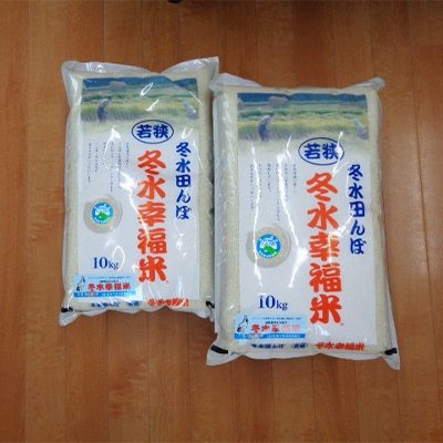 【2ヵ月毎定期便】コシヒカリ　冬水幸福米(精米)　20kg全4回