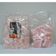 梅果汁ゼリー・あめ　各500g×1袋セット | ふるさと納税のお礼品