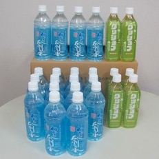わかさ瓜割の水(500ml)18本、はちみつ梅ウォーターグッジョブ(500ml)6本セット | ふるさと納税のお礼品