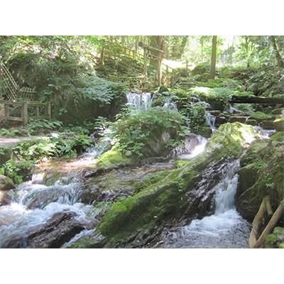 若狭のごはんセット(お米・水・梅干し)