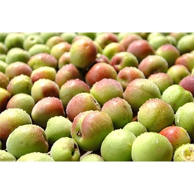 福井の紅映梅のすっぱい梅干し　プラ容器入り(400g)　甘くない梅干し