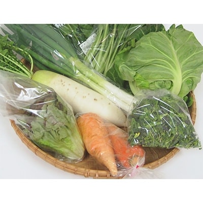若狭の季節の野菜セット(6～7種)