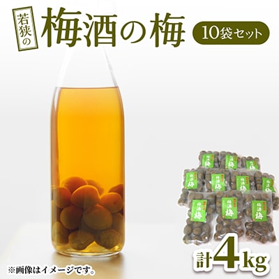 梅酒の梅　10袋セット　(梅酒に入れて、おやつに、おつまみに、煮詰めてジャムに)
