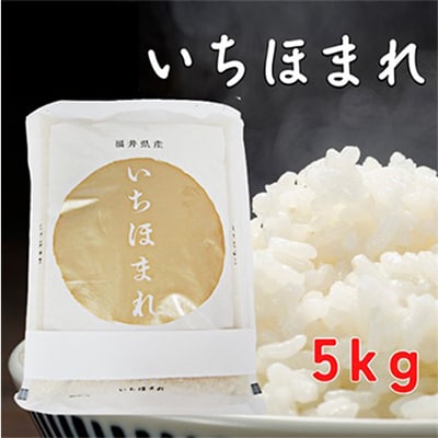 いちほまれ5キロ(令和6年産)　福井の新ブランド米