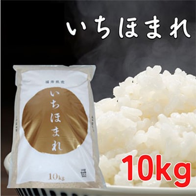 いちほまれ10キロ(令和6年産)　福井の新ブランド米