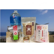 赤ちゃんやペットも食べられる!贈り物にもピッタリ!若狭おやつセット　　目白大学の学生が考案、その3