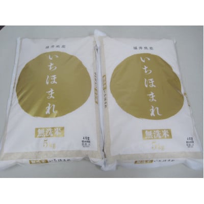 無洗米　いちほまれ10キロ(令和6年産)　福井の新ブランド米　5キロを2袋