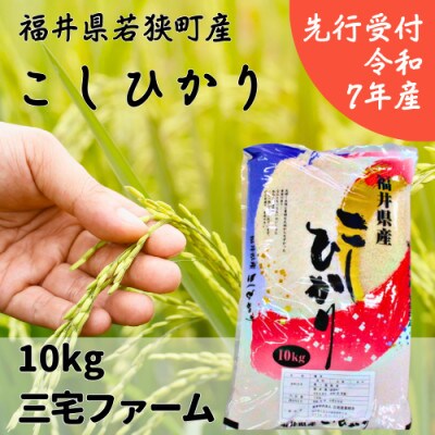 【令和7年産】 福井県若狭町コシヒカリ(1等米)10kg　10月より順次発送