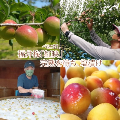 昔ながらの梅干し 一級品(福井県若狭町)伝統の製法にこだわり仕上げた無添加・無着色の梅干し/400g