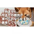 ドッグフード　鹿肉冷凍ミンチ(犬用)500g