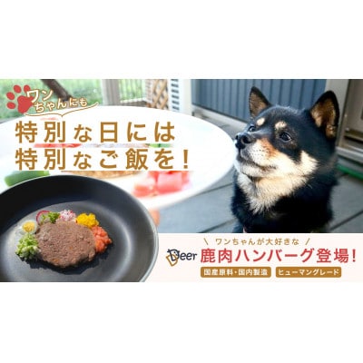 鹿肉ドッグフード　鹿肉ハンバーグ(犬用)50g×10個
