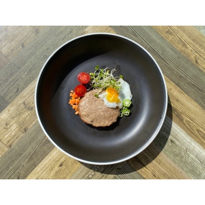 鹿肉ドッグフード　鹿肉ハンバーグ(犬用)50g×10個