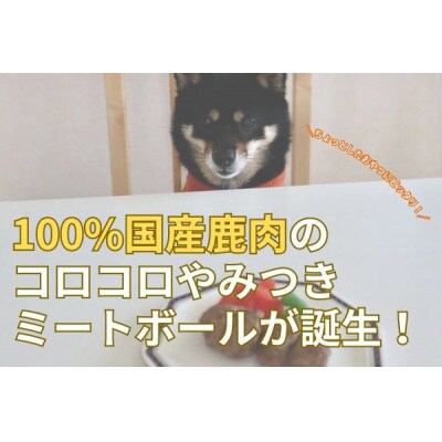 鹿肉ドッグフード　鹿肉ミートボール(犬用)60g×10個