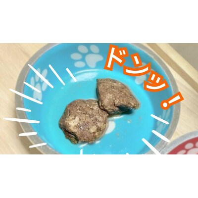 鹿肉ドッグフード　鹿肉ミートボール(犬用)60g×10個