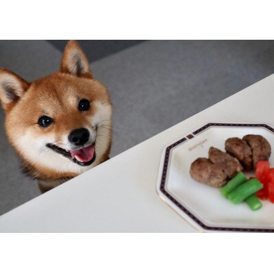 鹿肉ドッグフード　鹿肉ミートボール(犬用)60g×10個