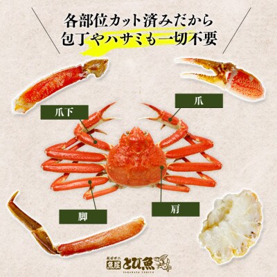 越前若狭食宝庫の生ズワイハーフポーション (箱)900g