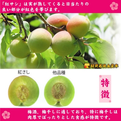 越前若狭食宝庫【訳あり】梅干し130g×3袋 合計390g【保存容器付き】