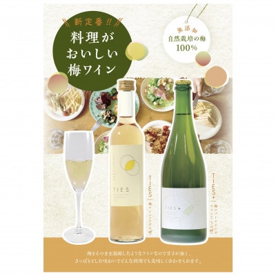 福井県若狭町　Japanese apricot wine(梅ワイン)　500ml