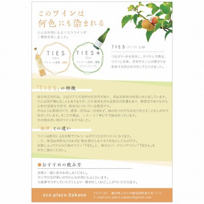 福井県若狭町　Japanese apricot wine(梅ワイン)　500ml
