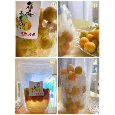 冷凍完熟梅(福井梅)1kg