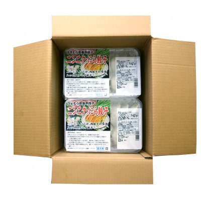 ゆきむら壱番亭のニンニクにら餃子3パック(48個入り)
