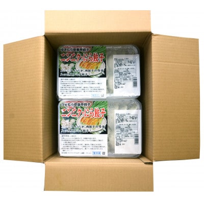 ゆきむら壱番亭のニンニクにら餃子6パック(96個入り)