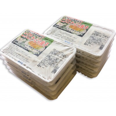 ゆきむら壱番亭のニンニクにら餃子10パック(160個入り)