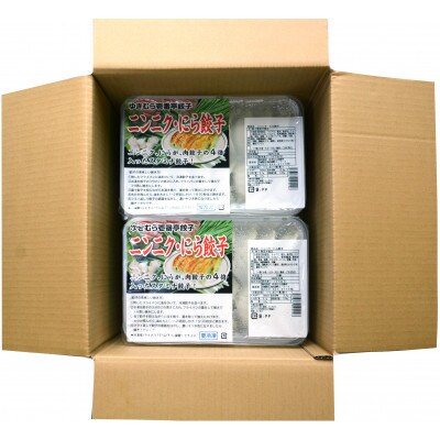 ゆきむら壱番亭のニンニクにら餃子10パック(160個入り)