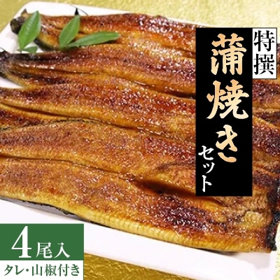 【2024年8月上旬発送】特撰　蒲焼きセット・四尾入
