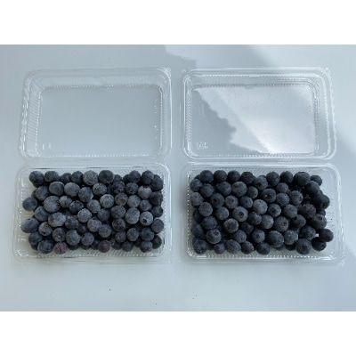 【栽培期間中農薬不使用】プレミアム大粒!生ブルーベリー(早生500g)