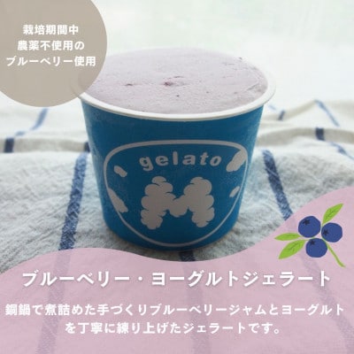 栽培期間中農薬不使用大粒冷凍ブルーベリー1kgと手作りジェラート(2種)6個セット
