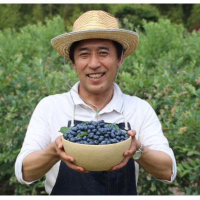 栽培期間中農薬不使用大粒冷凍ブルーベリー1kgと手作りのブルーベリー・ヨーグルトジェラート6個セット