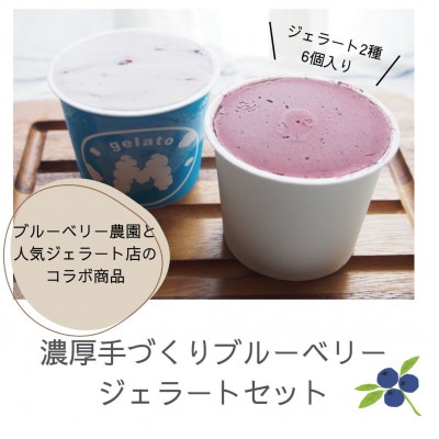 栽培期間中農薬不使用ブルーベリー使用!濃厚手作りジェラート食べ比べ6個セット